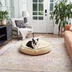 250L-Cream