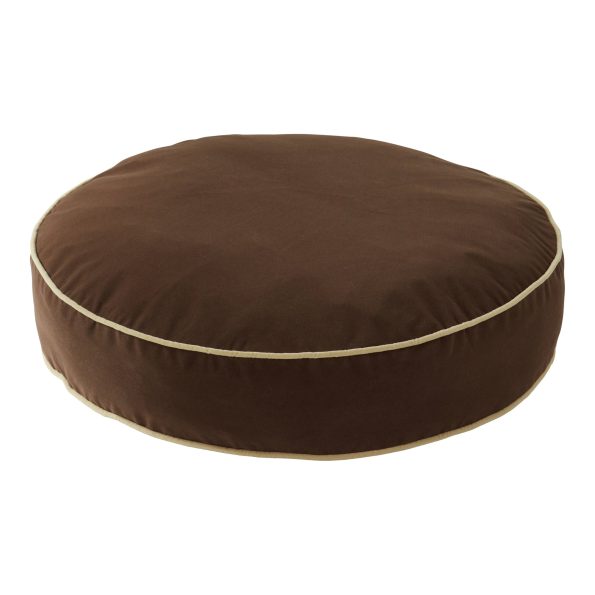 DB250-COCOA