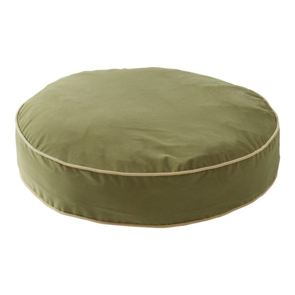 DB250-MOSS