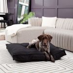 DB800L-CREAM_2