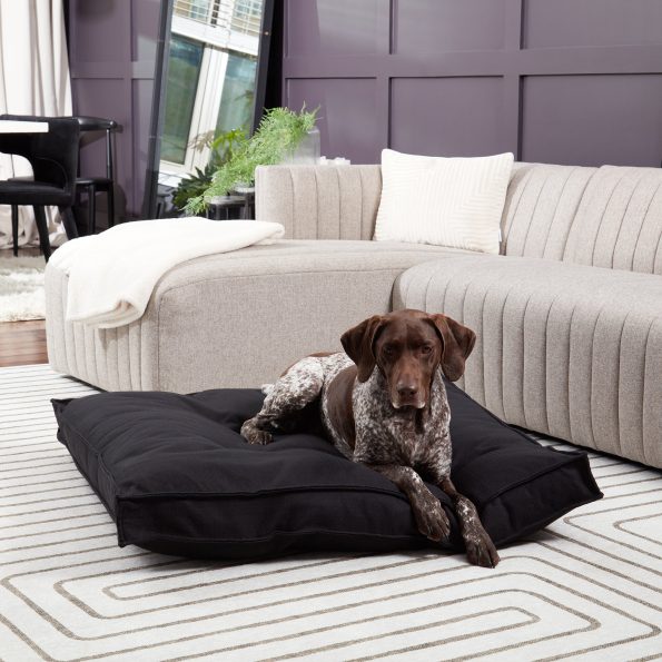 DB800L-BLACK_2