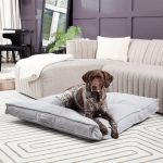 DB800L-CREAM_2