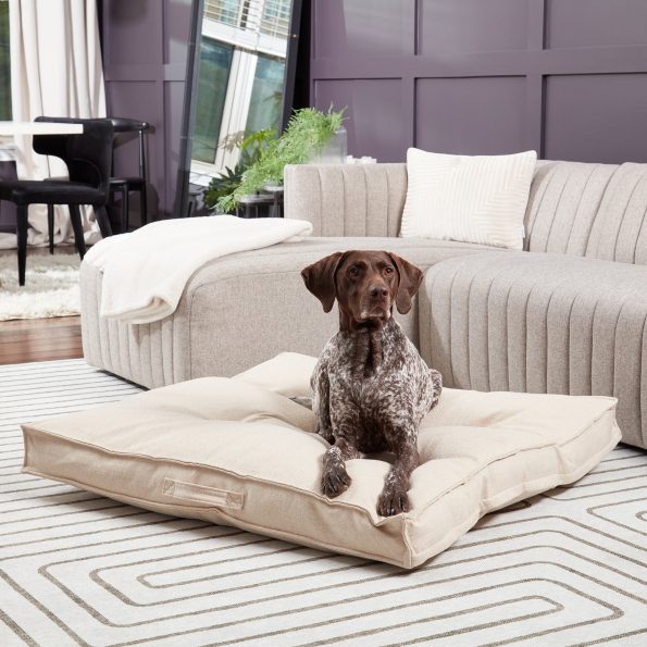 DB800L-CREAM_2