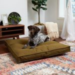 DB800L-CREAM_2