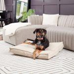 DB800L-CREAM_2