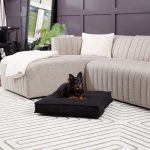 DB800L-CREAM_2