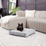 DB800L-CREAM_2