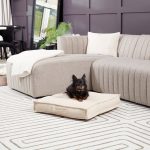DB800L-CREAM_2