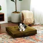 DB800L-CREAM_2